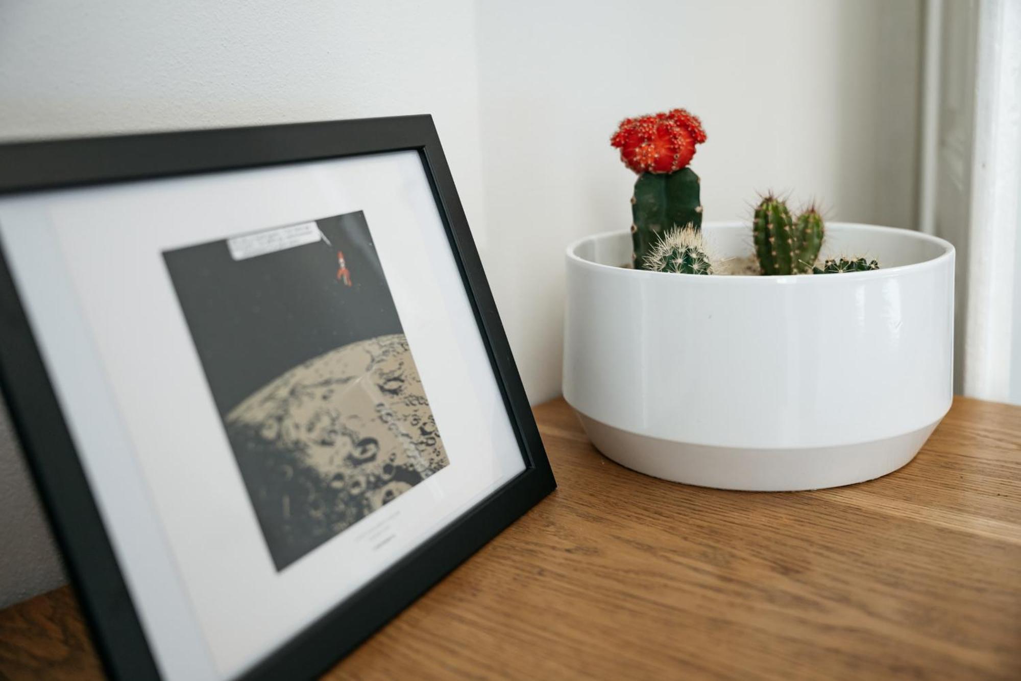 Comfortable And Cosy Apt A Few Steps From Dancing House And Naplavka Dance 프라하 외부 사진
